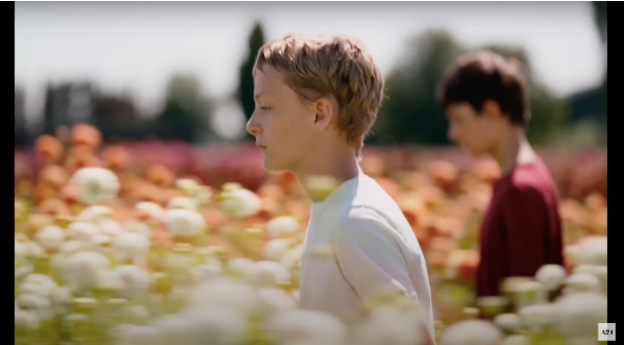 O sol ainda brilha e o campo está florido, mas Léo e Rémi não estão mais lado a lado e nem no mesmo plano. (Imagem: trailer oficial)