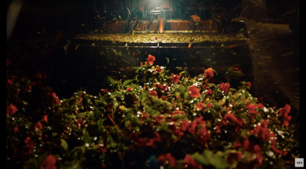 Os campos floridos e ensolarados dão lugar à chuva e às flores mortas caídas conforme os conflitos entre os personagens escalam. (Imagem: trailer oficial)